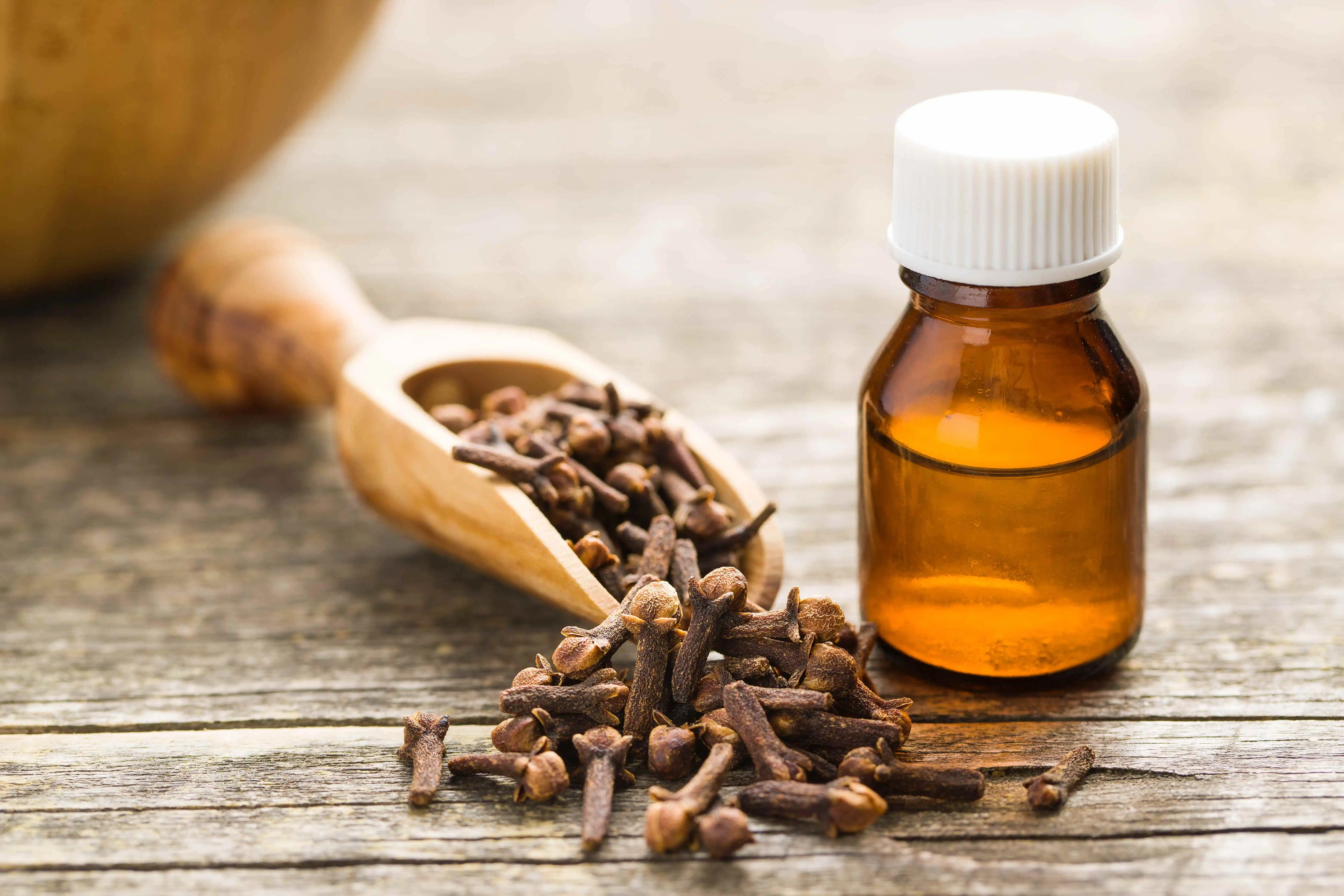 Oil of cloves for toothache relief methods